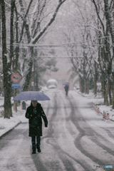 Zhejiang University in the snow