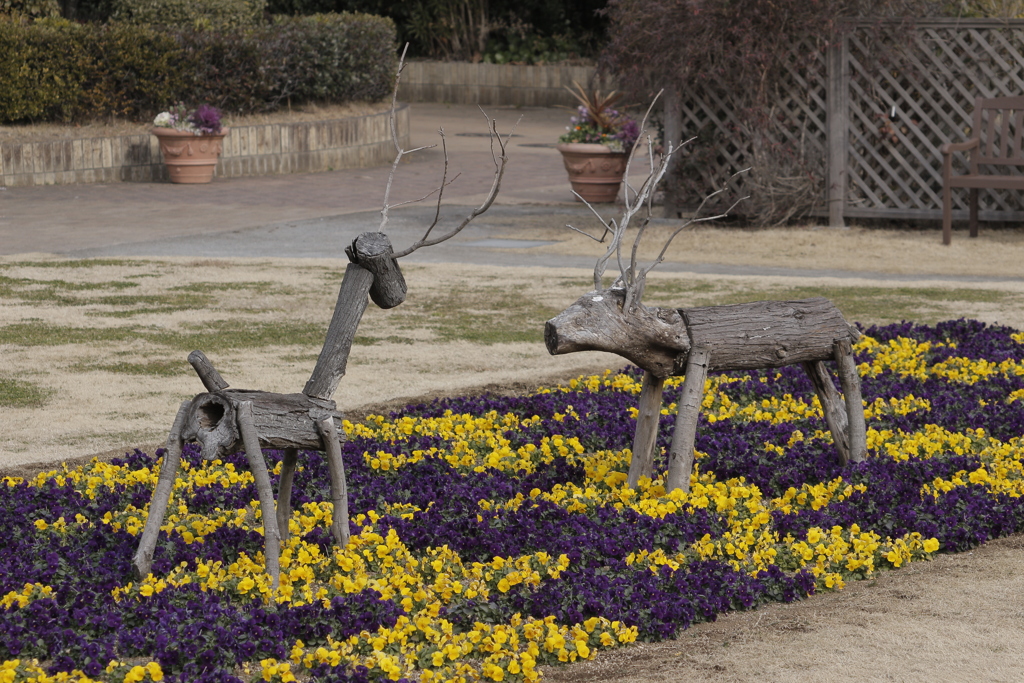 Early Spring