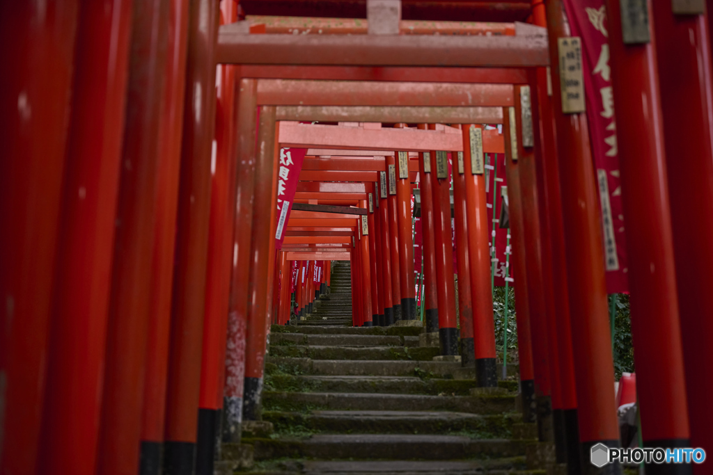 佐助稲荷神社
