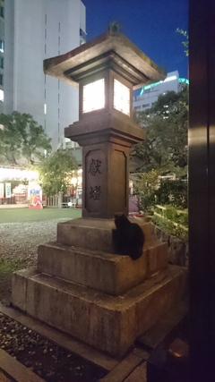 黒猫と燈籠