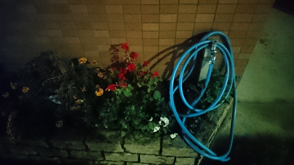 花壇