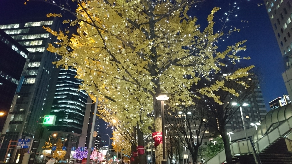 街路樹