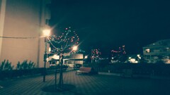 クリスマスの電飾