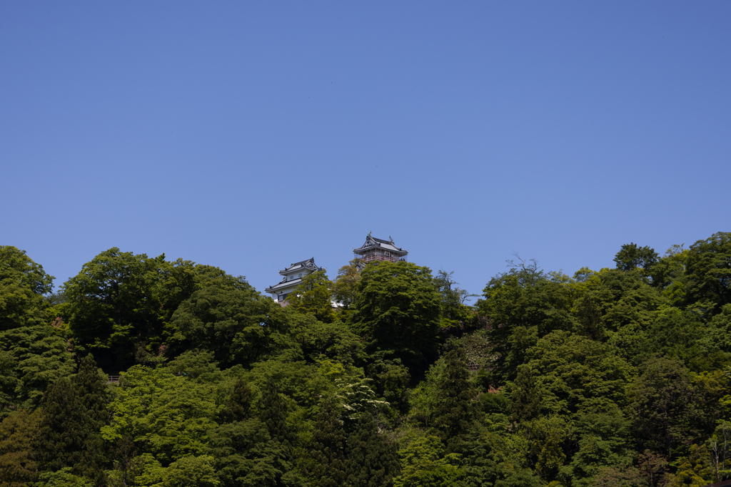 麓から見上げる大野城