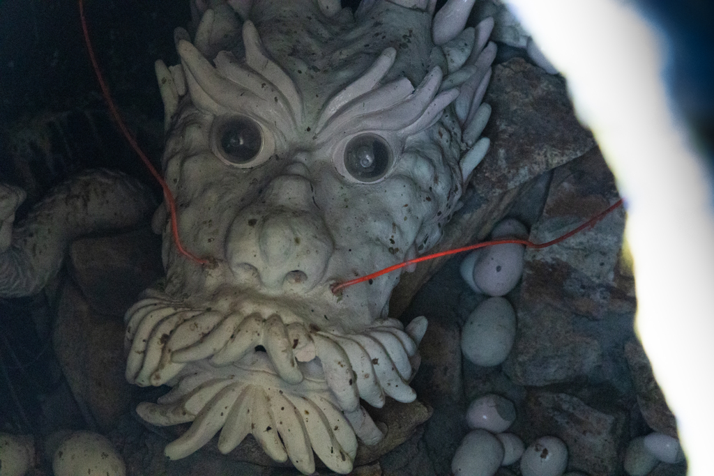 卵の中に宿る竜