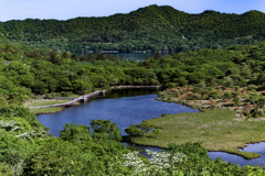 覚満淵の朝