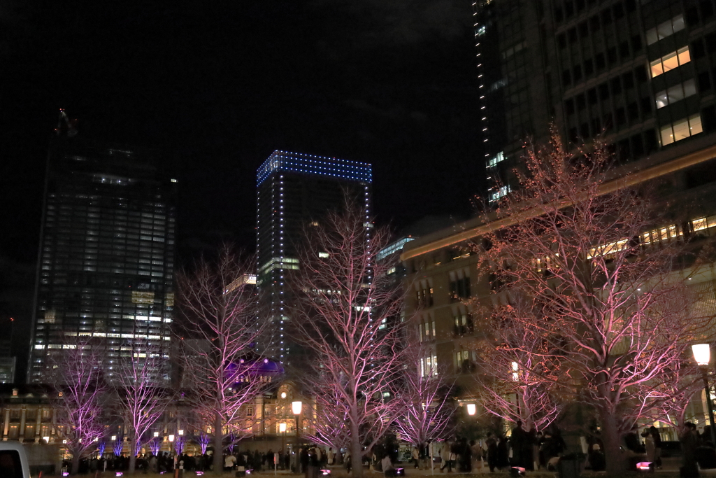 丸の内の夜