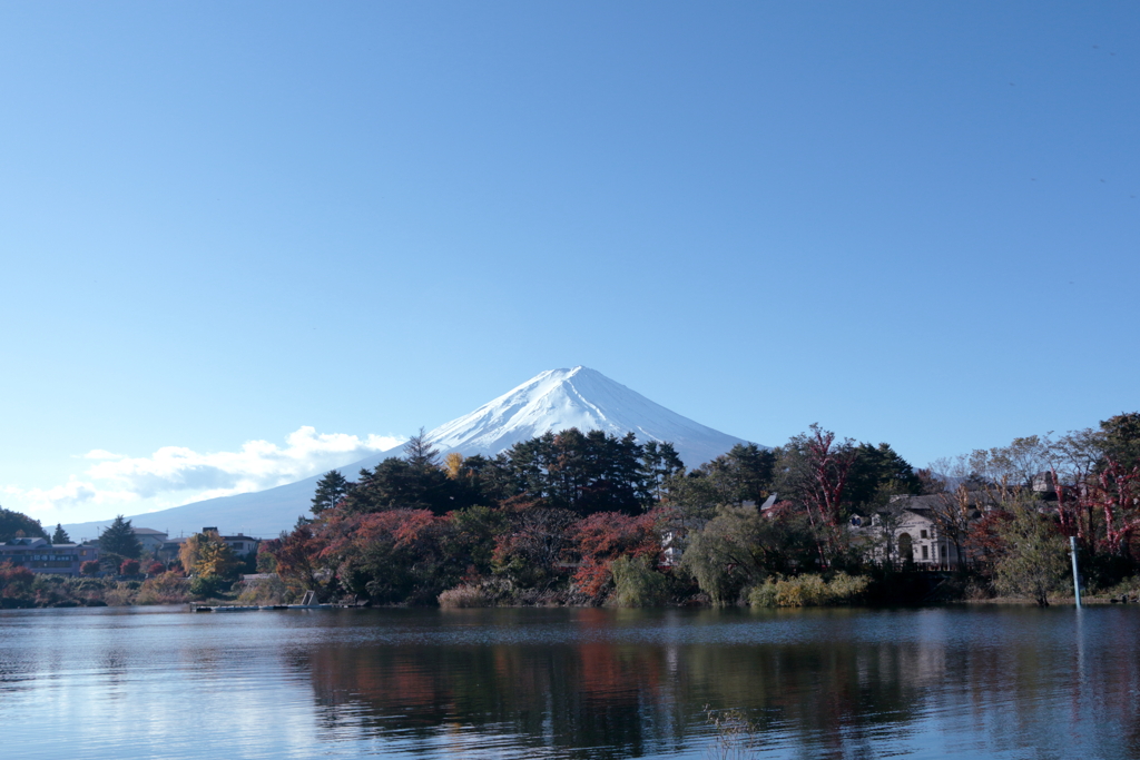 秋の富士山