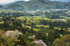 新緑の山から