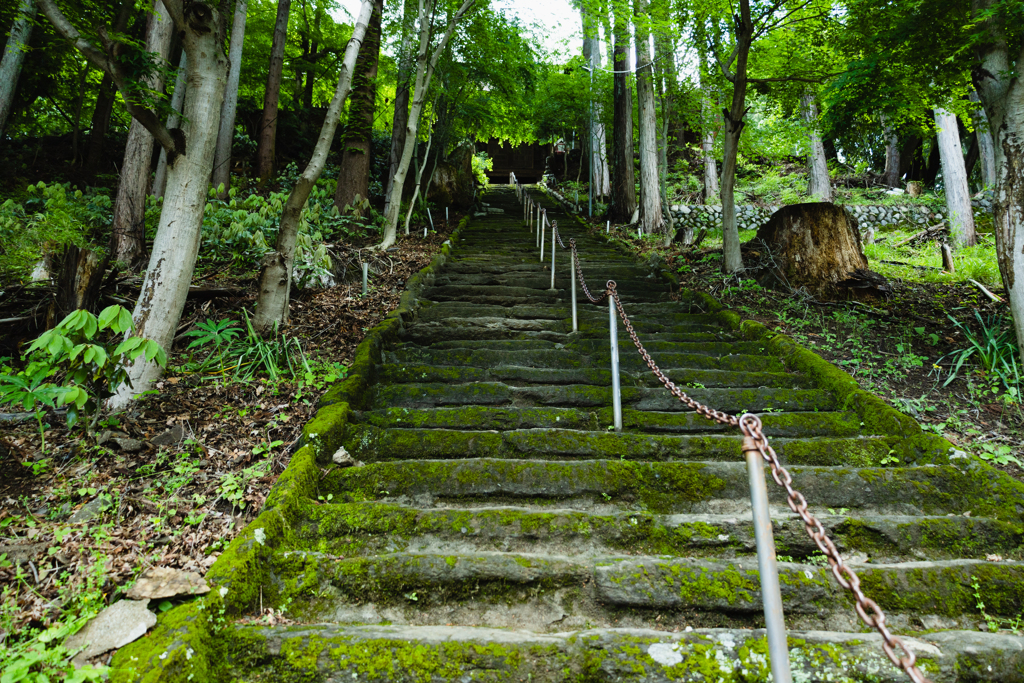 苔むした長い階段