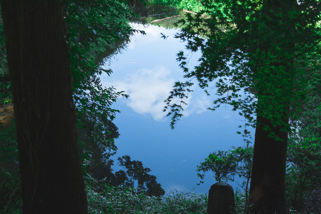 池の空