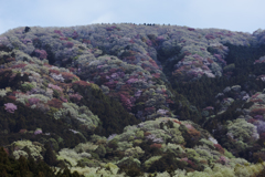 パッチワークの山