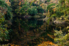 湖面に映る紅葉