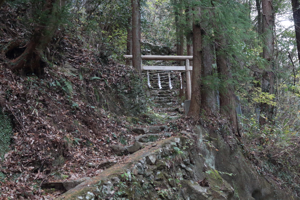 山道で見つけた鳥居