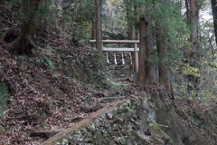 山道で見つけた鳥居