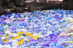 水中花