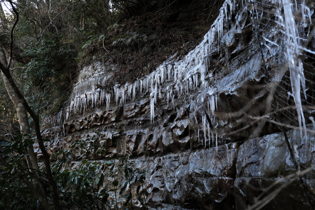 岩肌の氷柱
