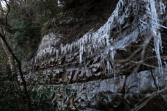 岩肌の氷柱
