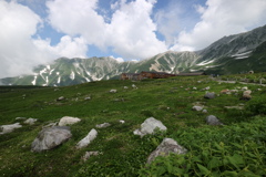 立山の夏