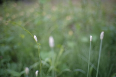 ★DSC02596