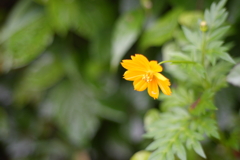 ★DSC02573