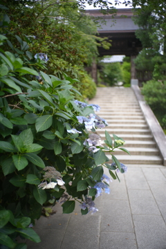 DSC02434