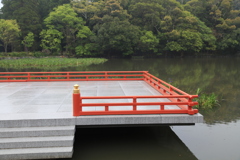 新緑の頃