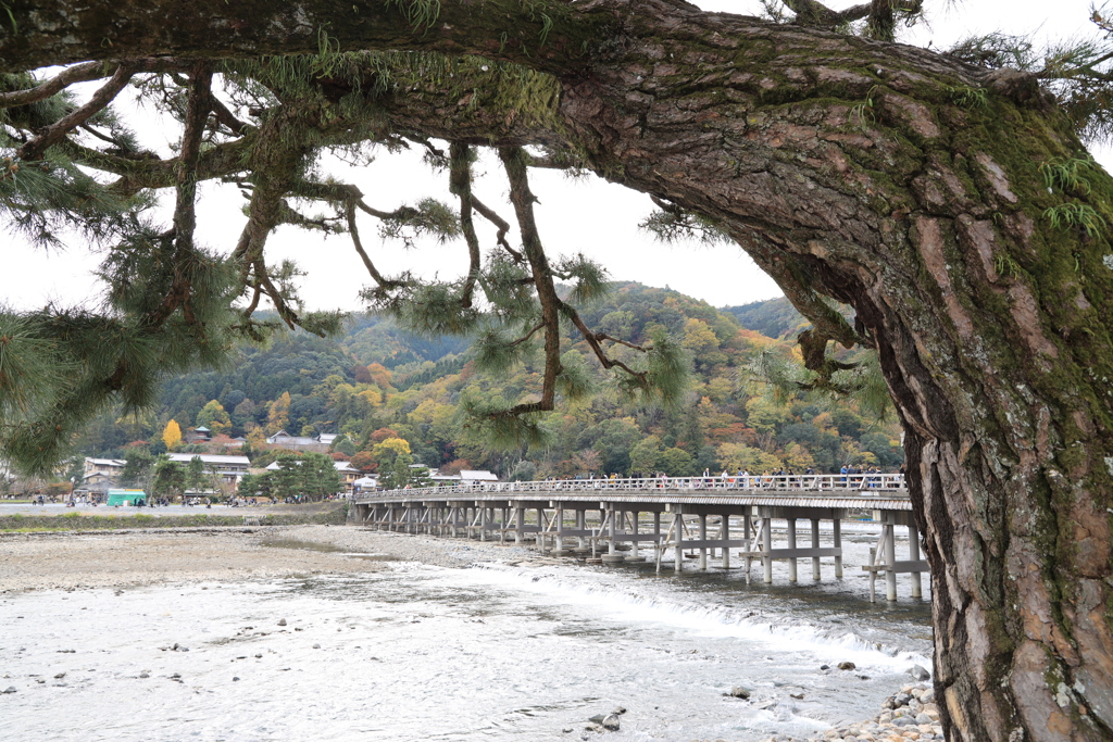 佳月橋