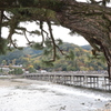 佳月橋