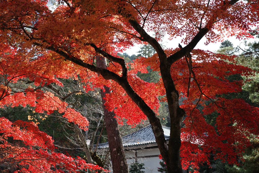 京GRx748