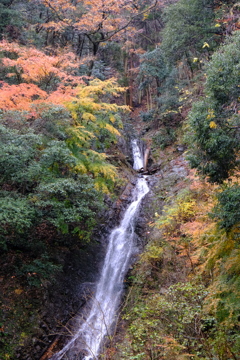 晩秋の滝