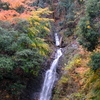 晩秋の滝