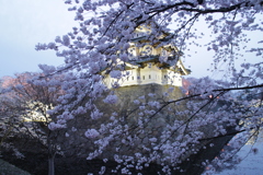 幻想