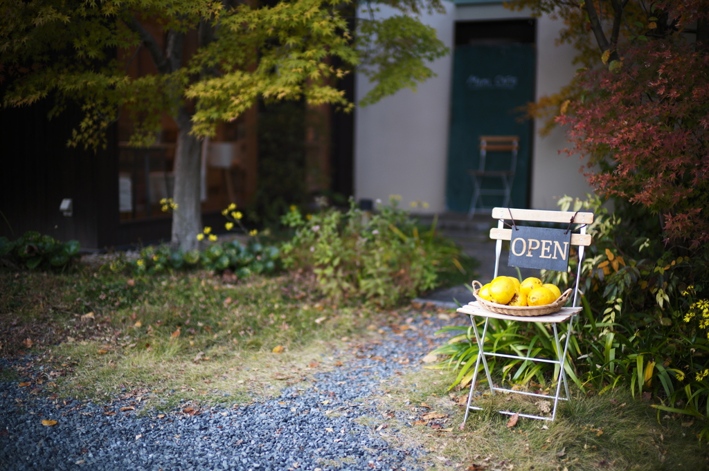 京Leica819