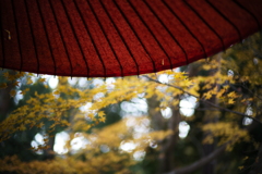 京Leica827