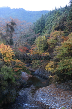 朝もや