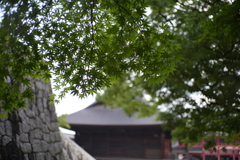 DSC02452
