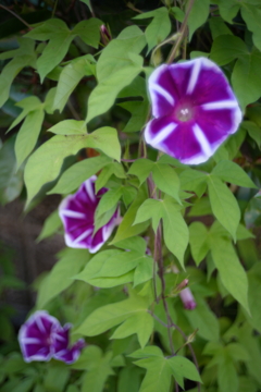 DSC02644
