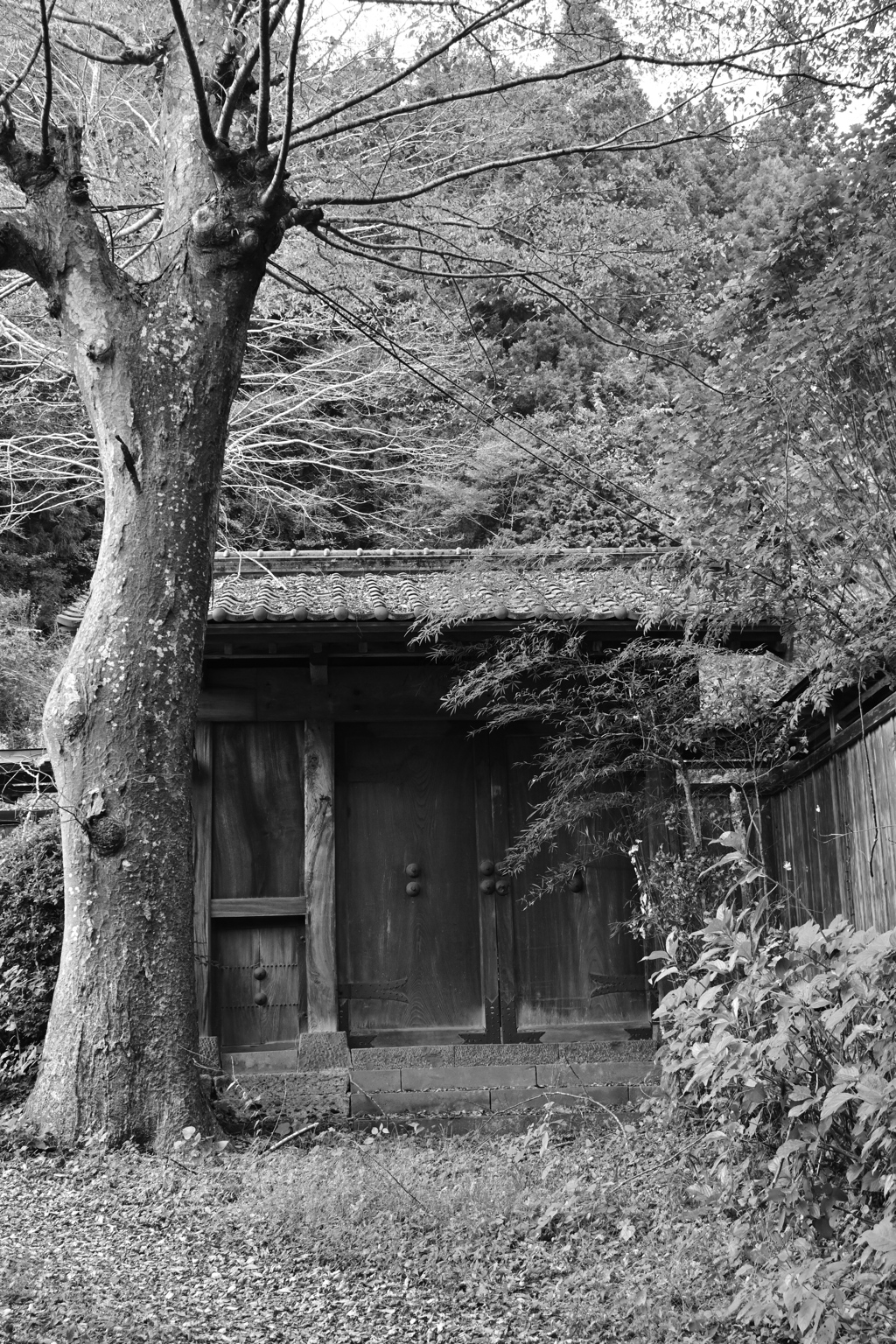 古道