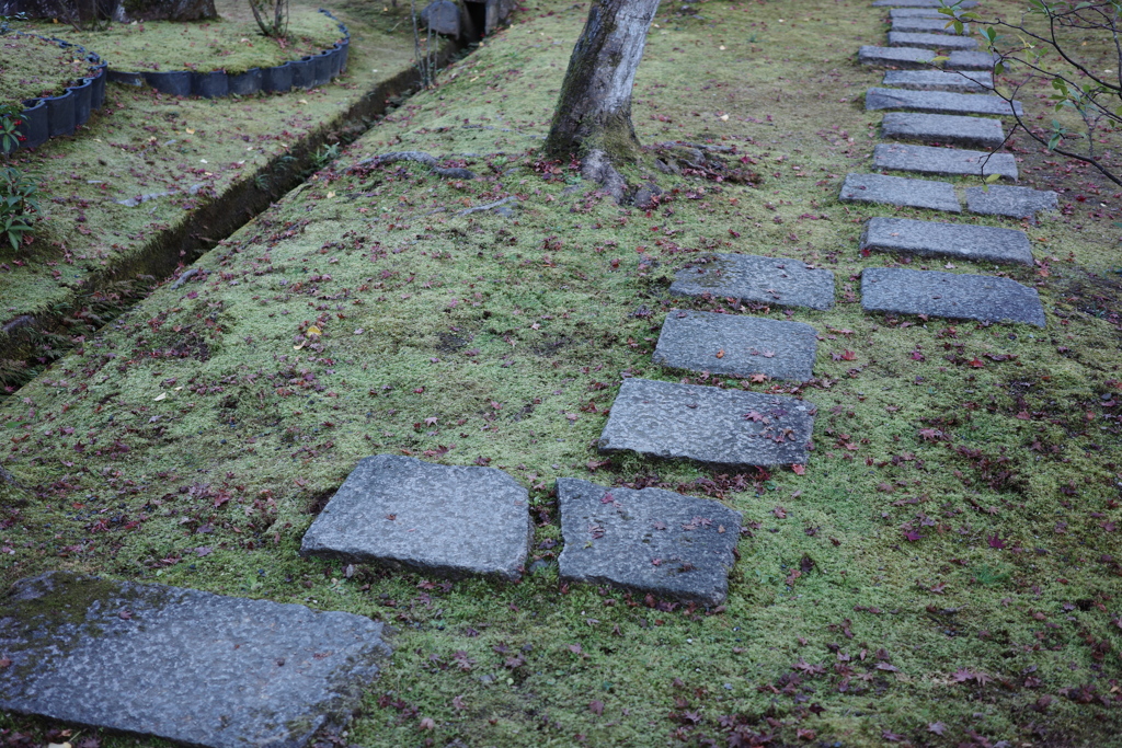 京GRx646
