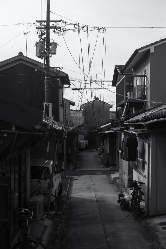 逍遥