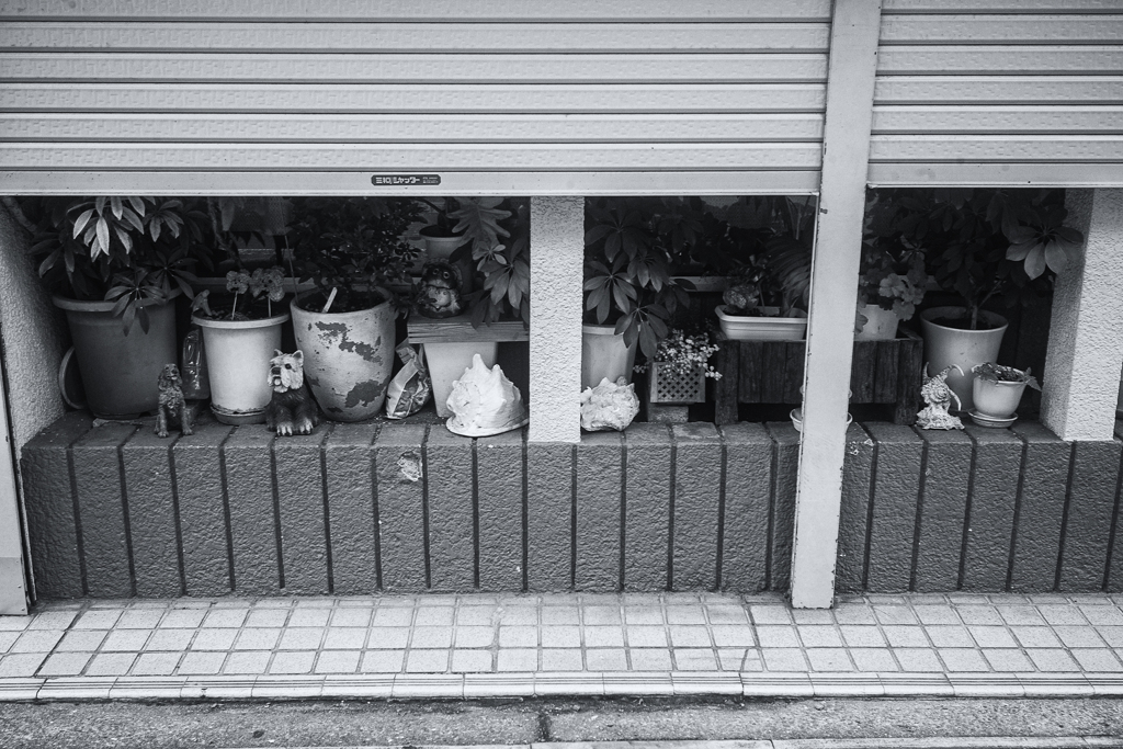 日光浴