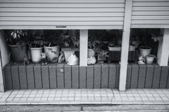 日光浴
