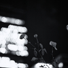 in the shadow