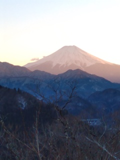 ｍｔ　Fuji