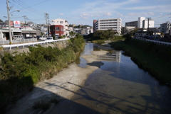 P1040521