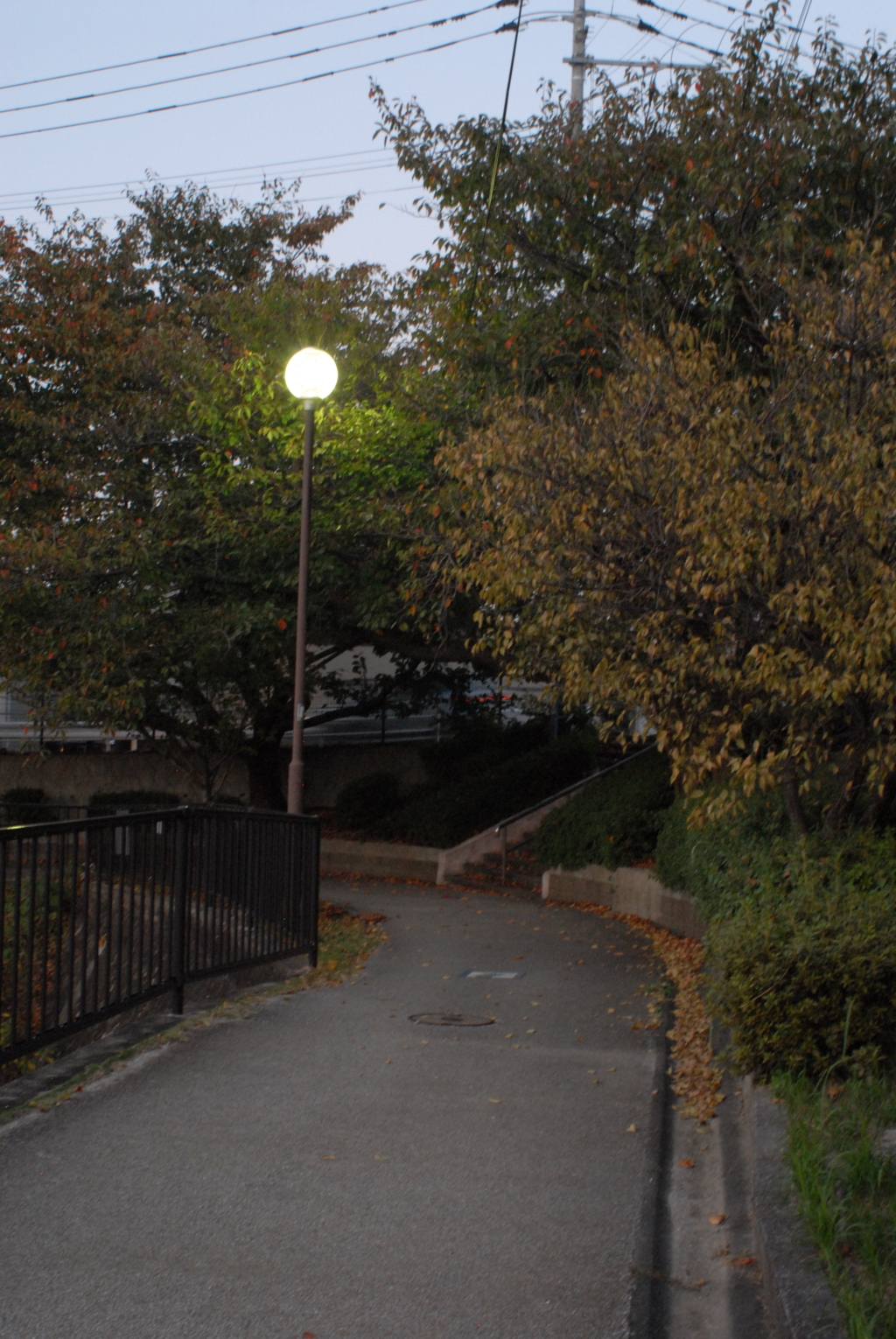 昨夕暮れ散歩 帰ったら待ってた