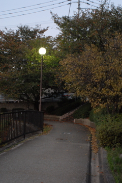 昨夕暮れ散歩 帰ったら待ってた