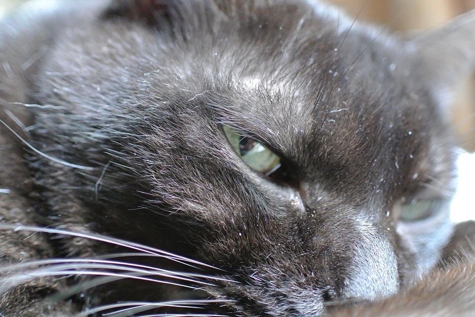 617858B3-8F84-475D-BE01-0025BBC00E41