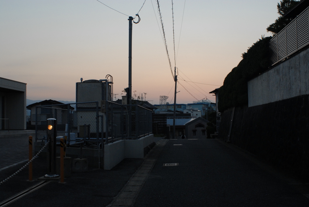 昨夕暮れ散歩 帰ったら待ってた